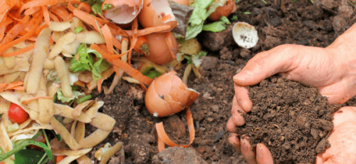 Gestión del desperdicio alimentario