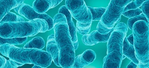 Control higiénico-sanitario de instalaciones susceptibles de proliferación de microorganismos nocivos y su diseminación por aerosolización- Legionella