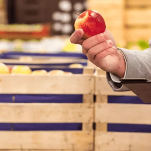 Control de plagas en productos agroalimentarios almacenados