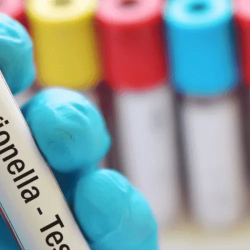Curso oficial Certificado de Prevención de la Legionella y la Legionelosis