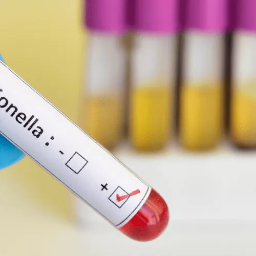 Renovación certificado Legionella