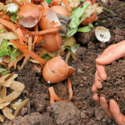 Gestión del desperdicio alimentario