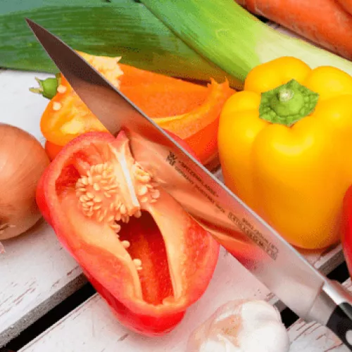 Manipulador de alimentos